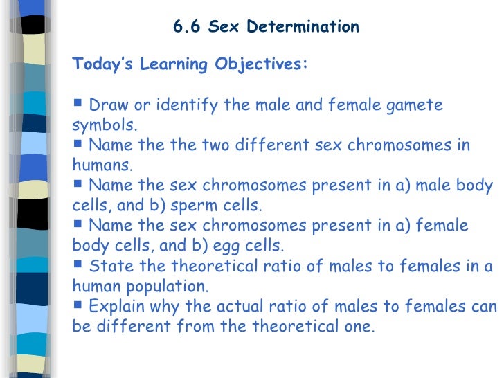 another name for sex cells Another name for sex cells